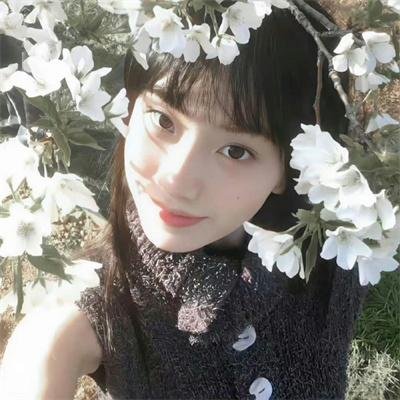 珍布